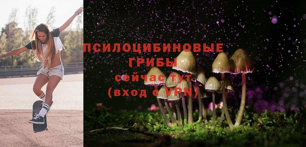 гидропоника Богданович