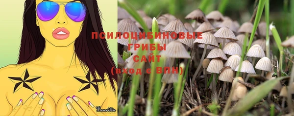 гидропоника Богданович