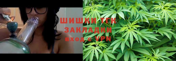 гидропоника Богданович