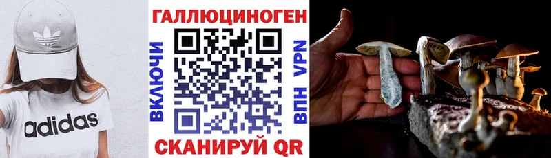 Псилоцибиновые грибы Cubensis  Мосальск 